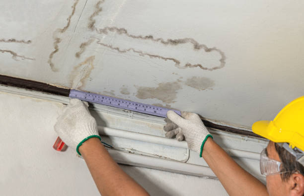Reliable Mold Remediation contractor in Chauncey, WV by Water Damage Irwin